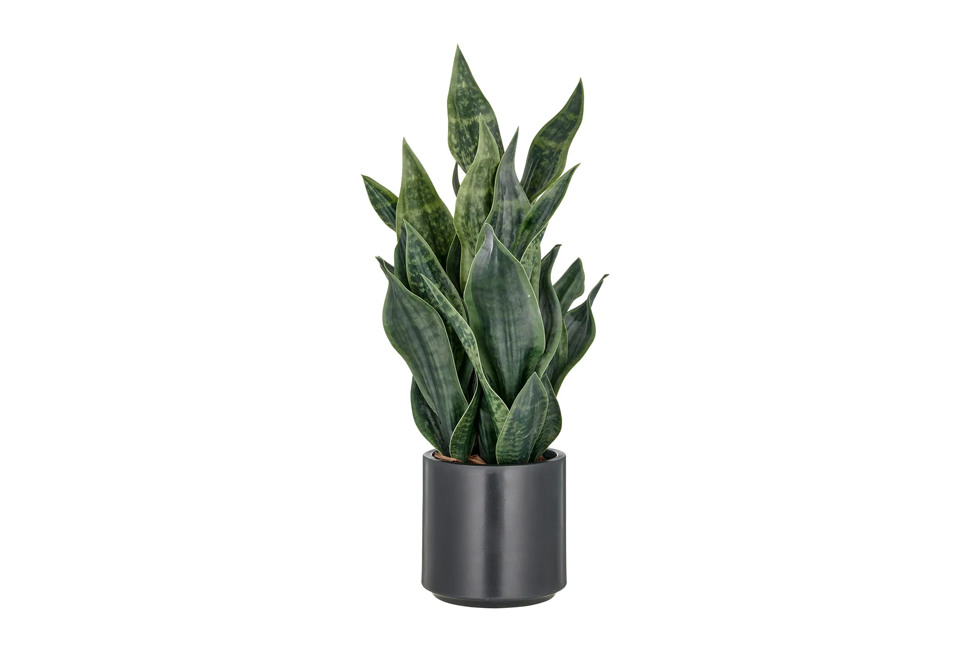 Kunstblume Vaselina grün 66 cm
