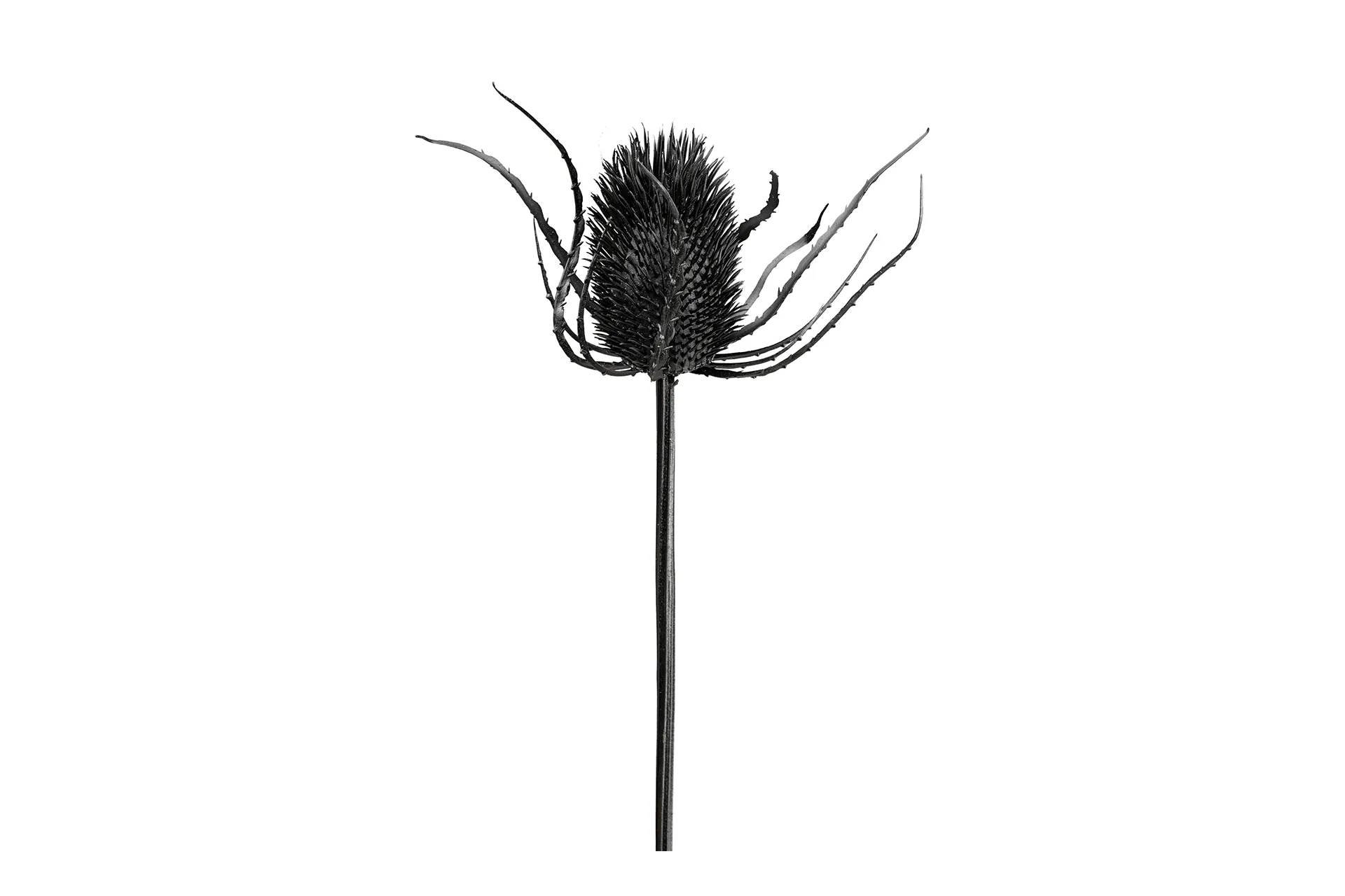 Kunstblume Andreas schwarz 73 cm