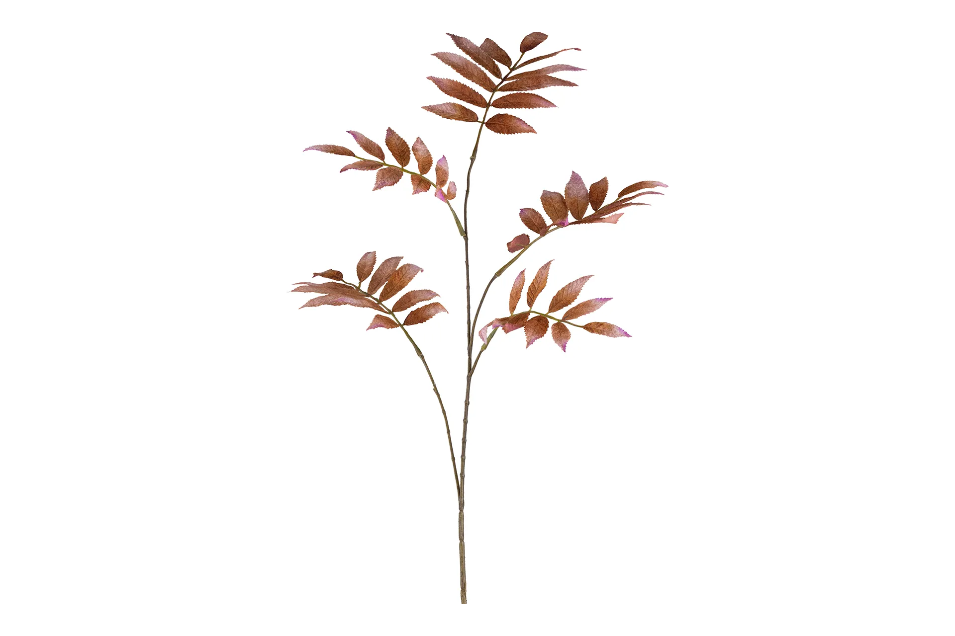 Kunstblume Matias braun