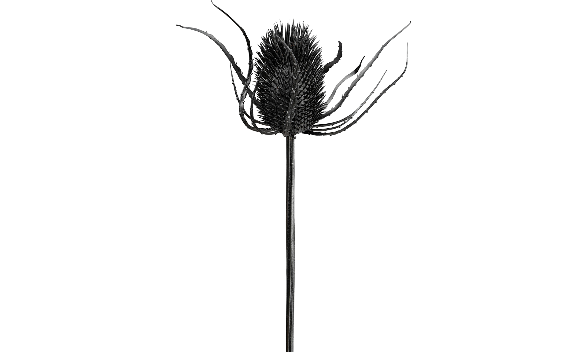 Kunstblume Andreas Schwarz 73 cm