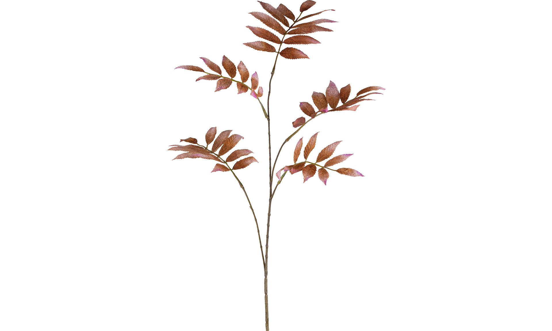 Kunstblume Matias Braun